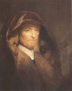 REMBRANDT Harmenszoon van Rijn Portrait of the Artist's Mother (mk25) oil painting on canvas